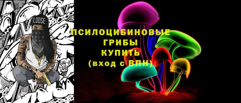 ОМГ ОМГ сайт  Полтавская  Галлюциногенные грибы Psilocybe 